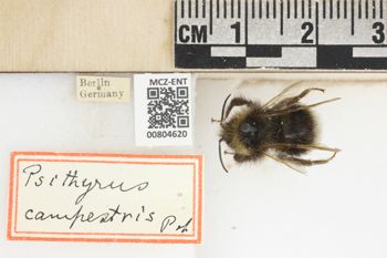 Media type: image;   Entomology 804620 Aspect: labels